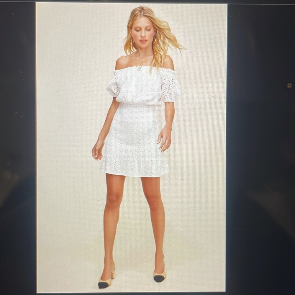 Astr The Label Desi Off The Shoukder Smocked Eyelet Mini Dress
